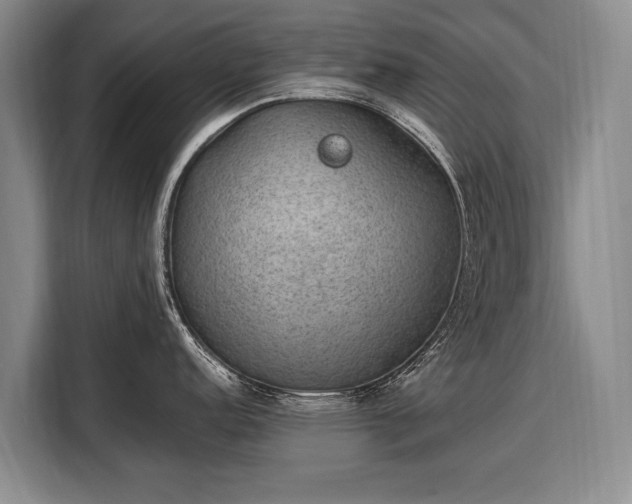 X0000108481152200904091432