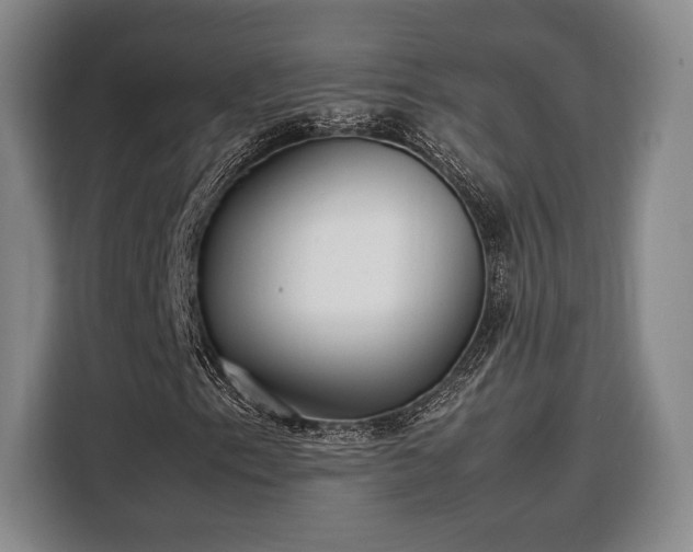 X0000108481153200904091431