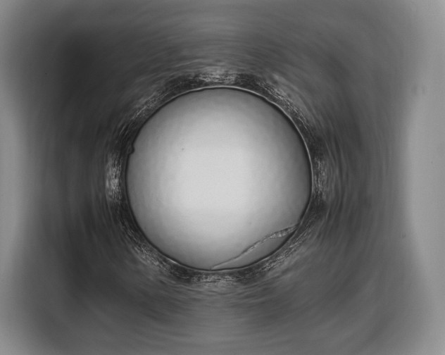 X0000108481154200904091431