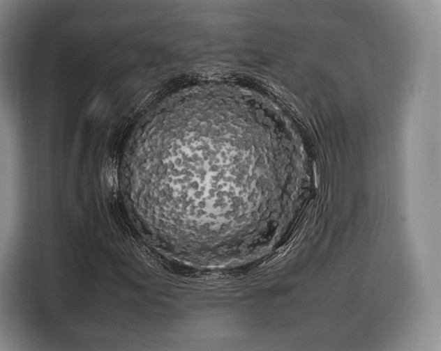 X0000108481155200904091431