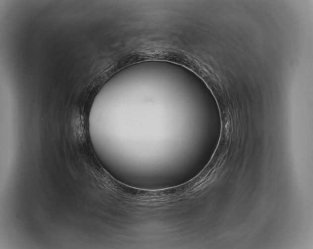 X0000108481156200904091431