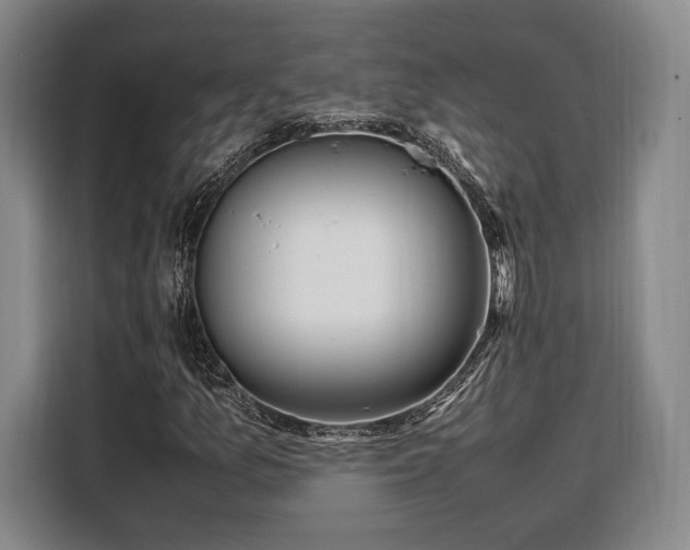 X0000108481157200904091431