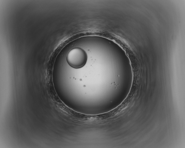 X0000108481160200904091431