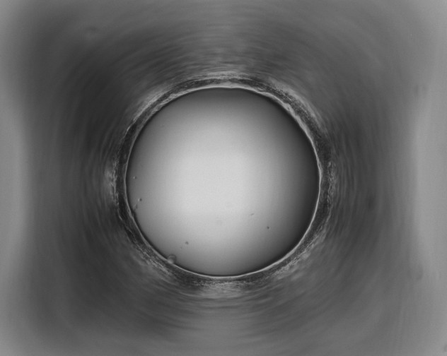 X0000108481162200904091431