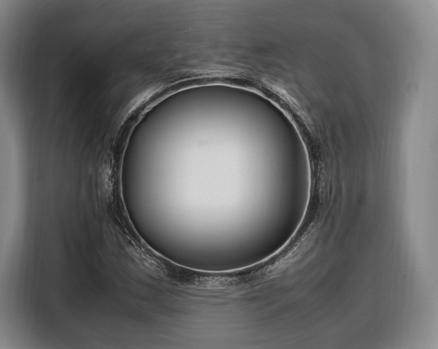 X0000108481163200904091431