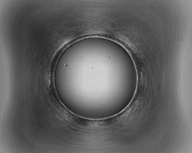 X0000108481165200904091431