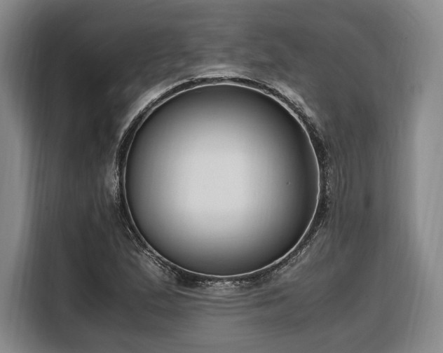 X0000108481167200904091431