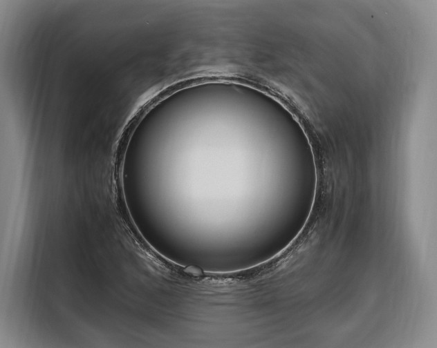 X0000108481168200904091431