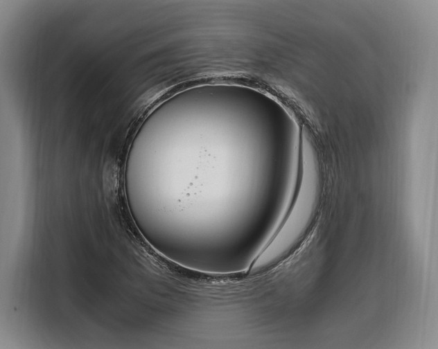X0000108481169200904091431