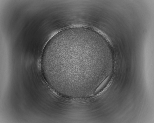 X0000108481170200904091431