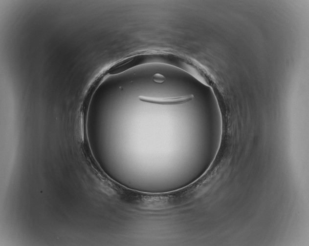 X0000108481171200904091431