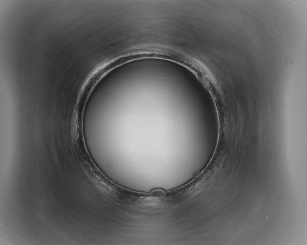 X0000108481172200904091431