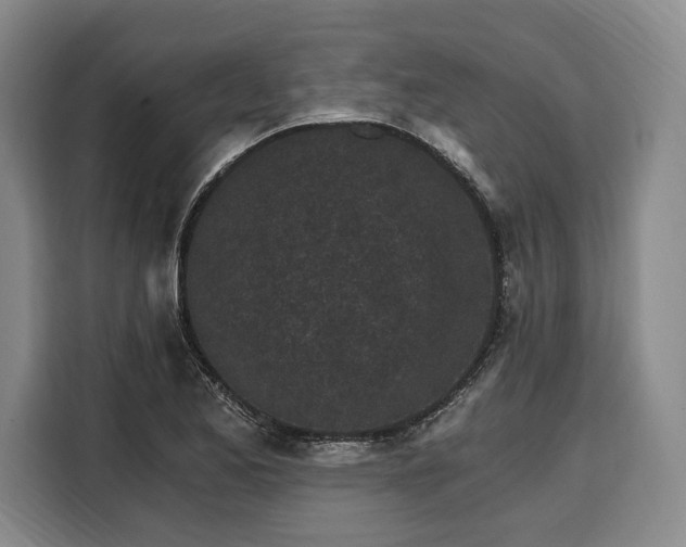 X0000108481173200904091431