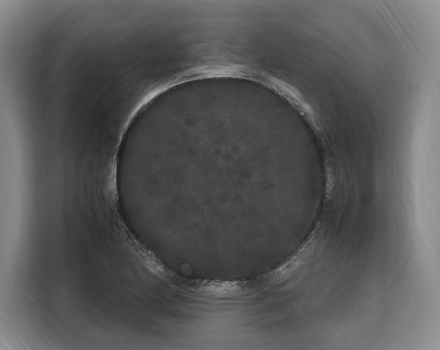 X0000108481174200904091431