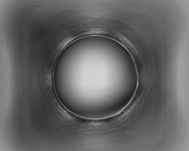 X0000108481177200904091431