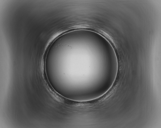 X0000108481179200904091431