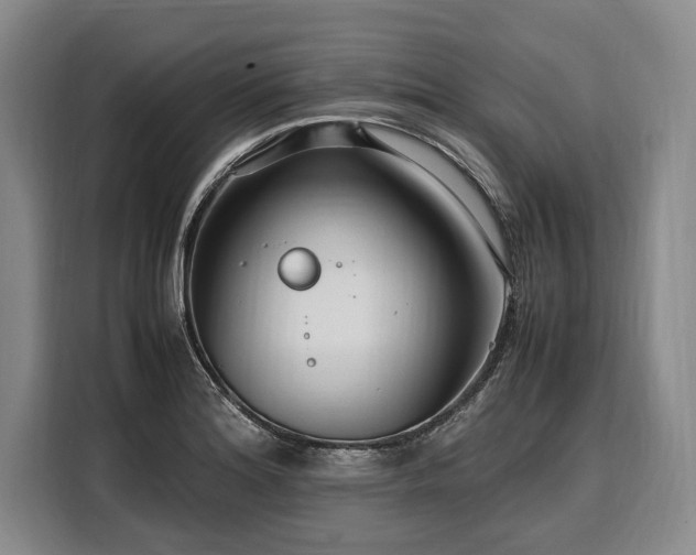 X0000108481180200904091431
