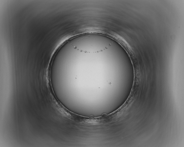 X0000108481182200904091431