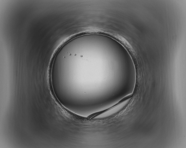 X0000108481183200904091431