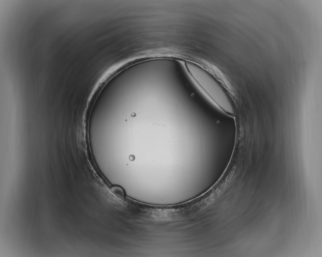 X0000108481184200904091431