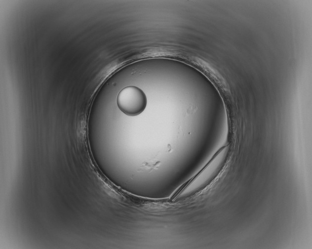 X0000108481185200904091431