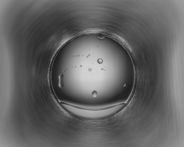 X0000108481186200904091431