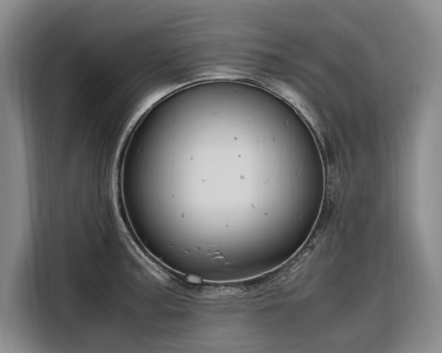 X0000108481187200904091431