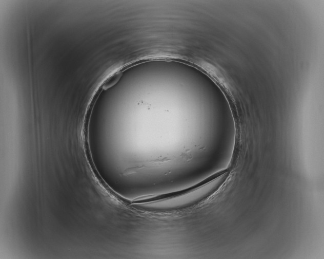 X0000108481189200904091431