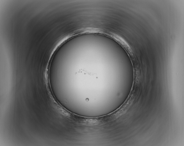 X0000108481190200904091431
