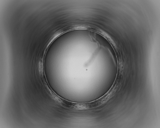 X0000108481194200904091431