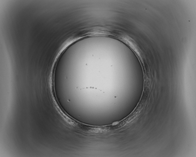 X0000108481195200904091431