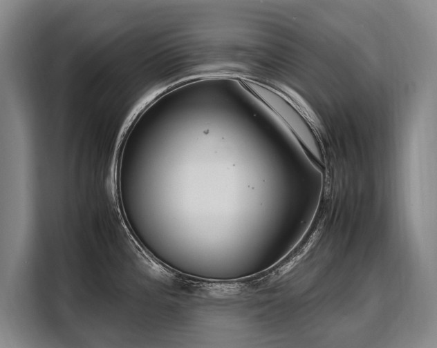 X0000108481196200904091431