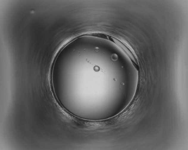 X0000108481197200904091431