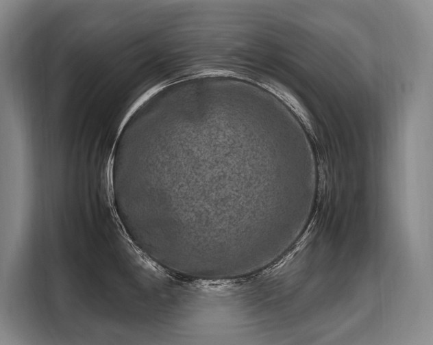 X0000108481198200904091431