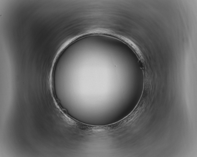 X0000108481199200904091431