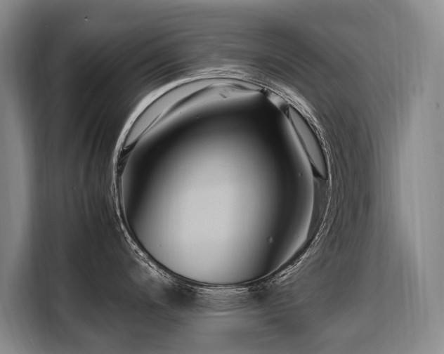 X0000108481200200904091431