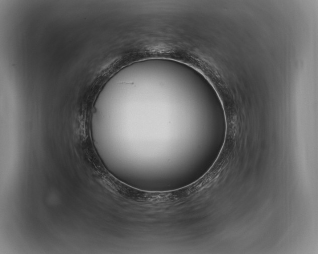 X0000108481205200904091430