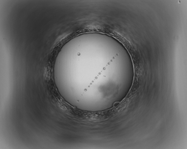 X0000108481207200904091430