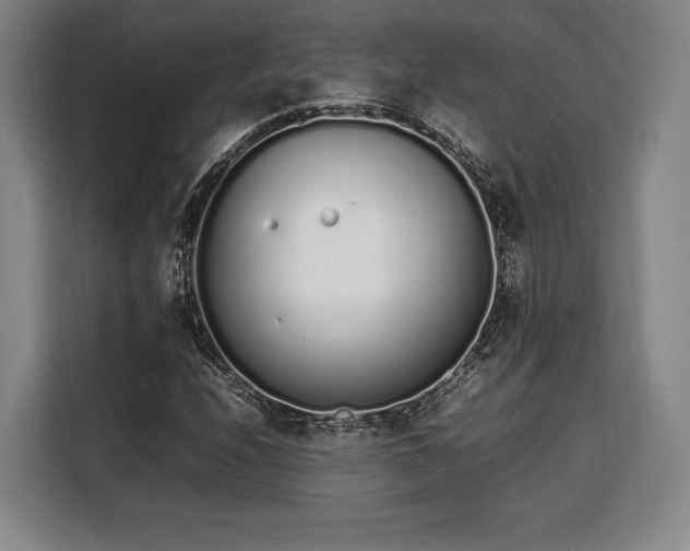 X0000108481208200904091430