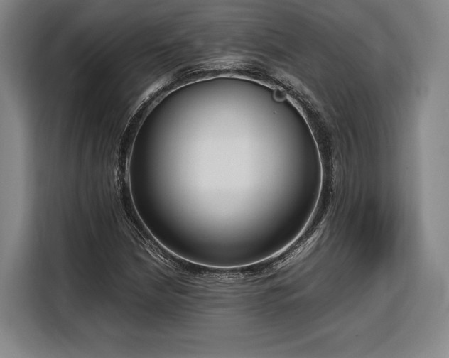 X0000108481210200904091430