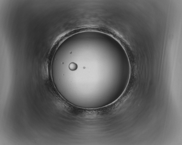 X0000108481214200904091430