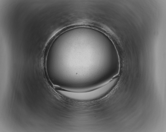 X0000108481216200904091430