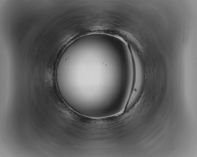 X0000108481217200904091430