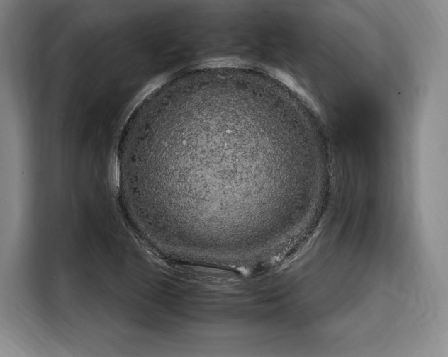 X0000108481221200904091430
