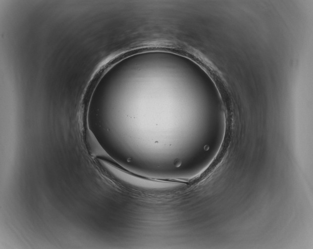 X0000108481222200904091431