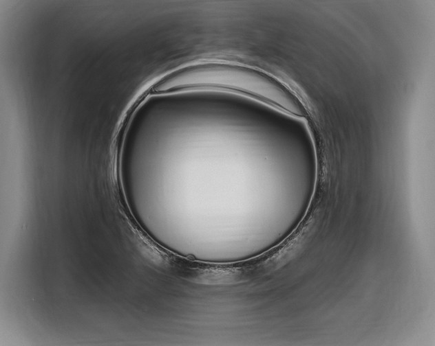 X0000108481224200904091431