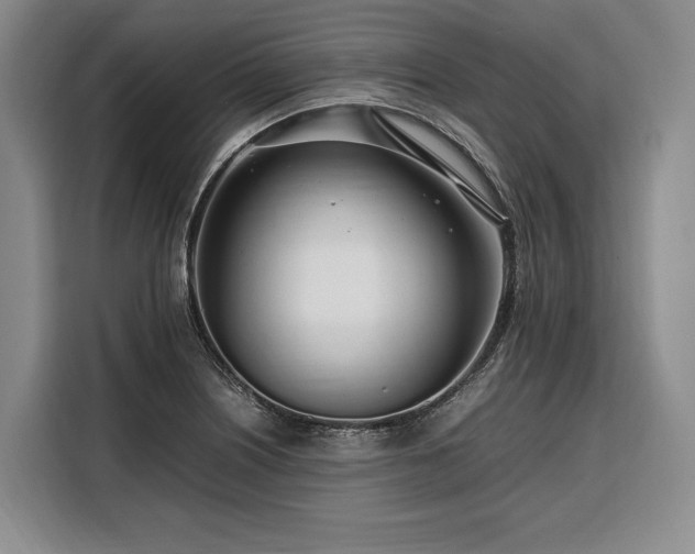 X0000108481226200904091431
