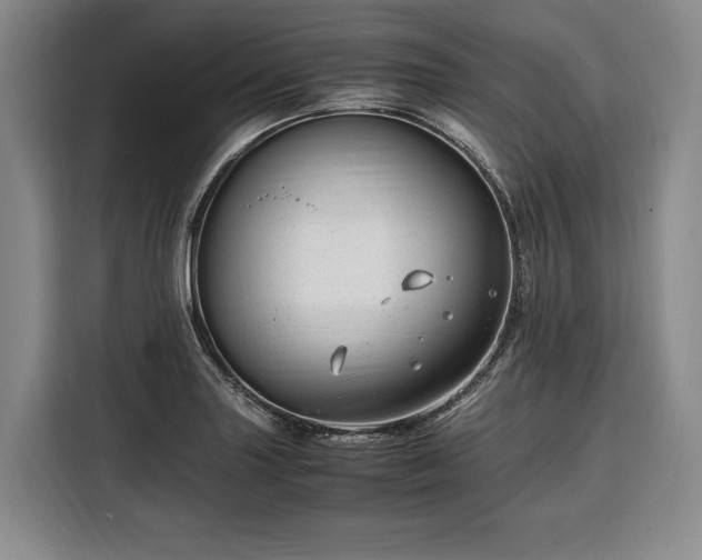 X0000108481227200904091431