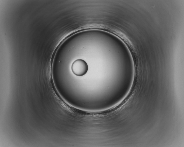 X0000108481228200904091431