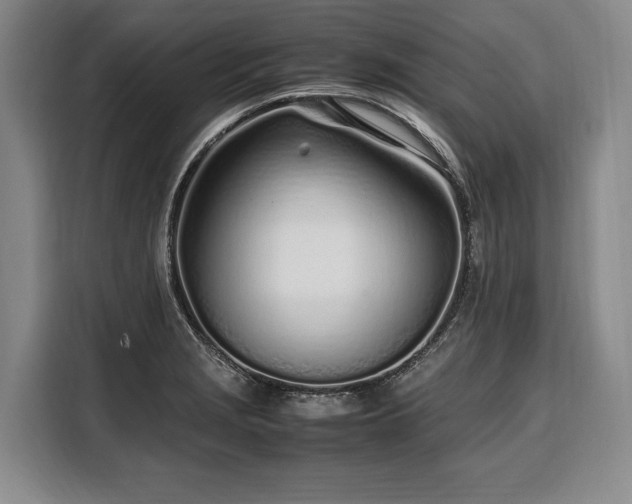 X0000108481229200904091431